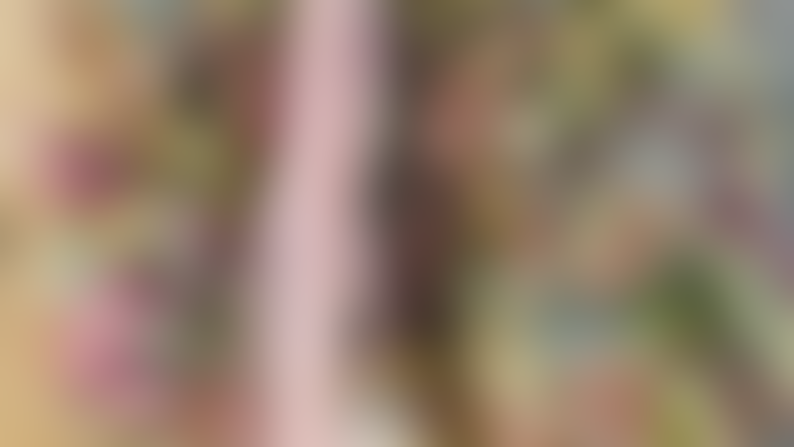 Achillea Dein Blumenladen - 01