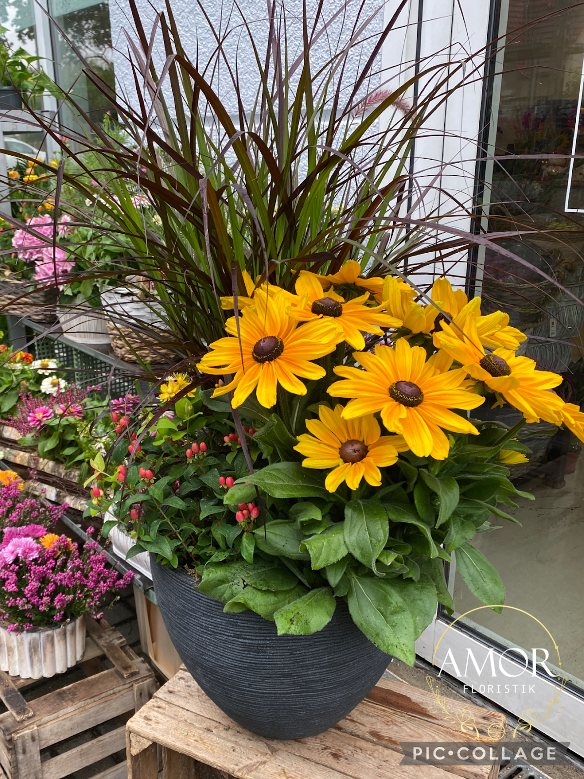 Amor Floristik Galerie