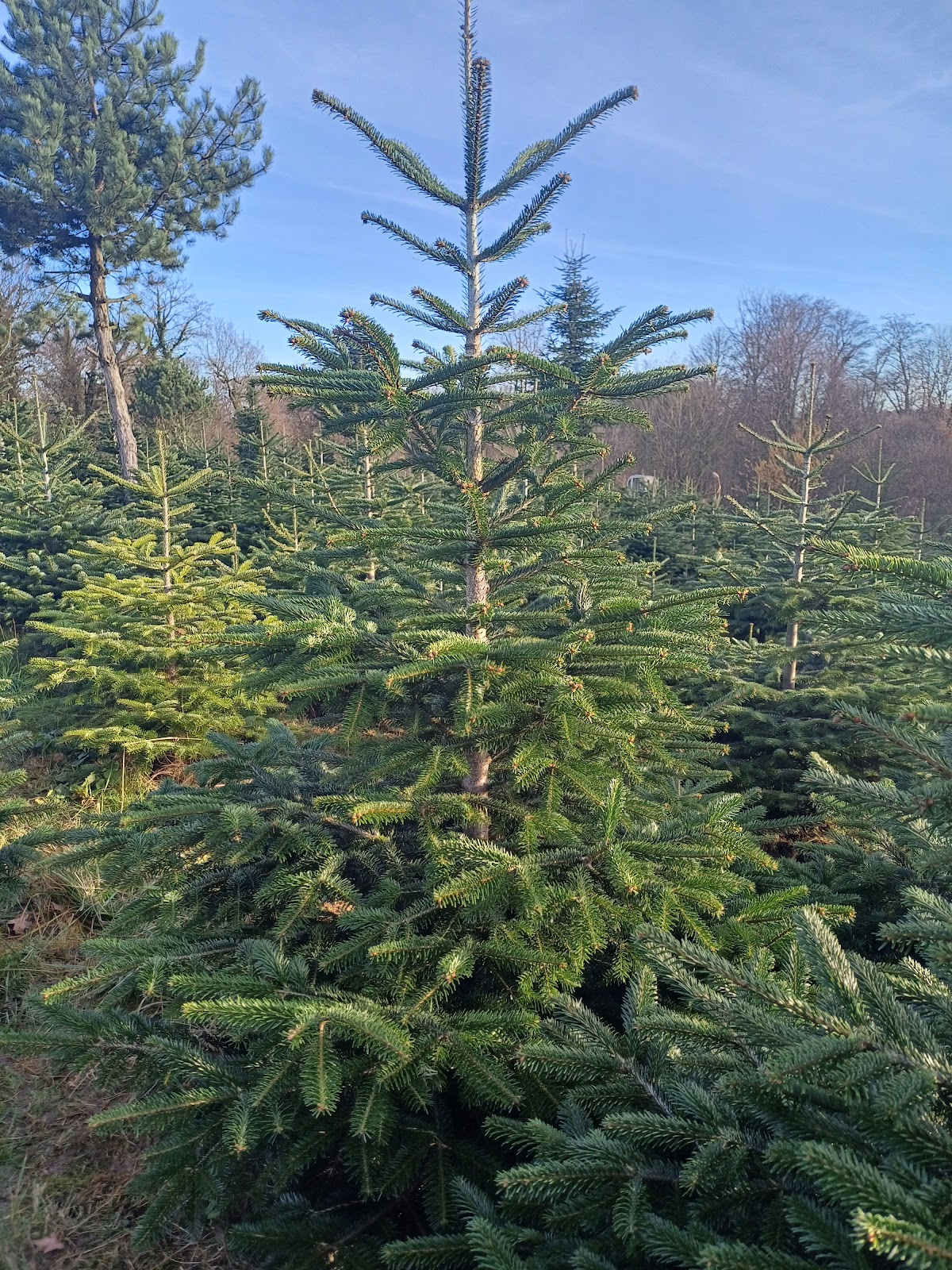 Bauer Kammesheidt - Festscheune Galerie