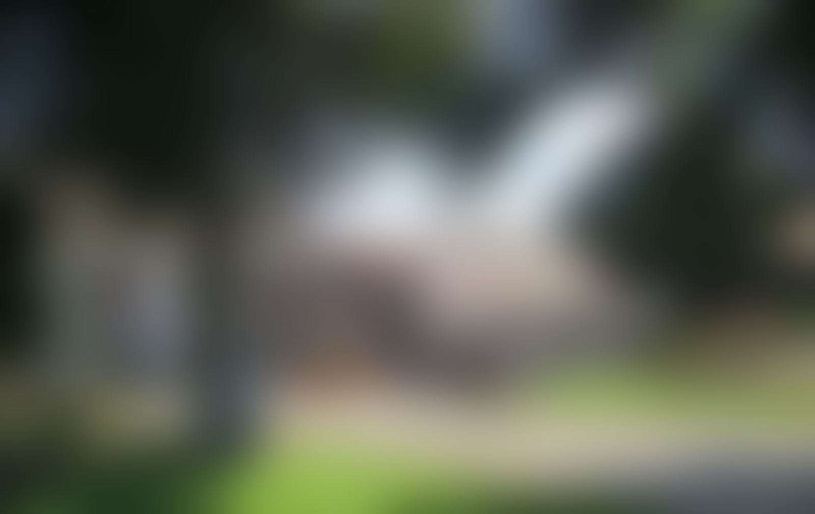 Bauer Kammesheidt - 01