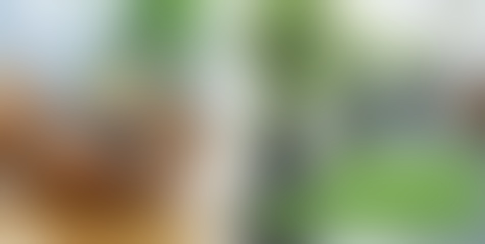 Bayerische Blumen Zentrale - 01