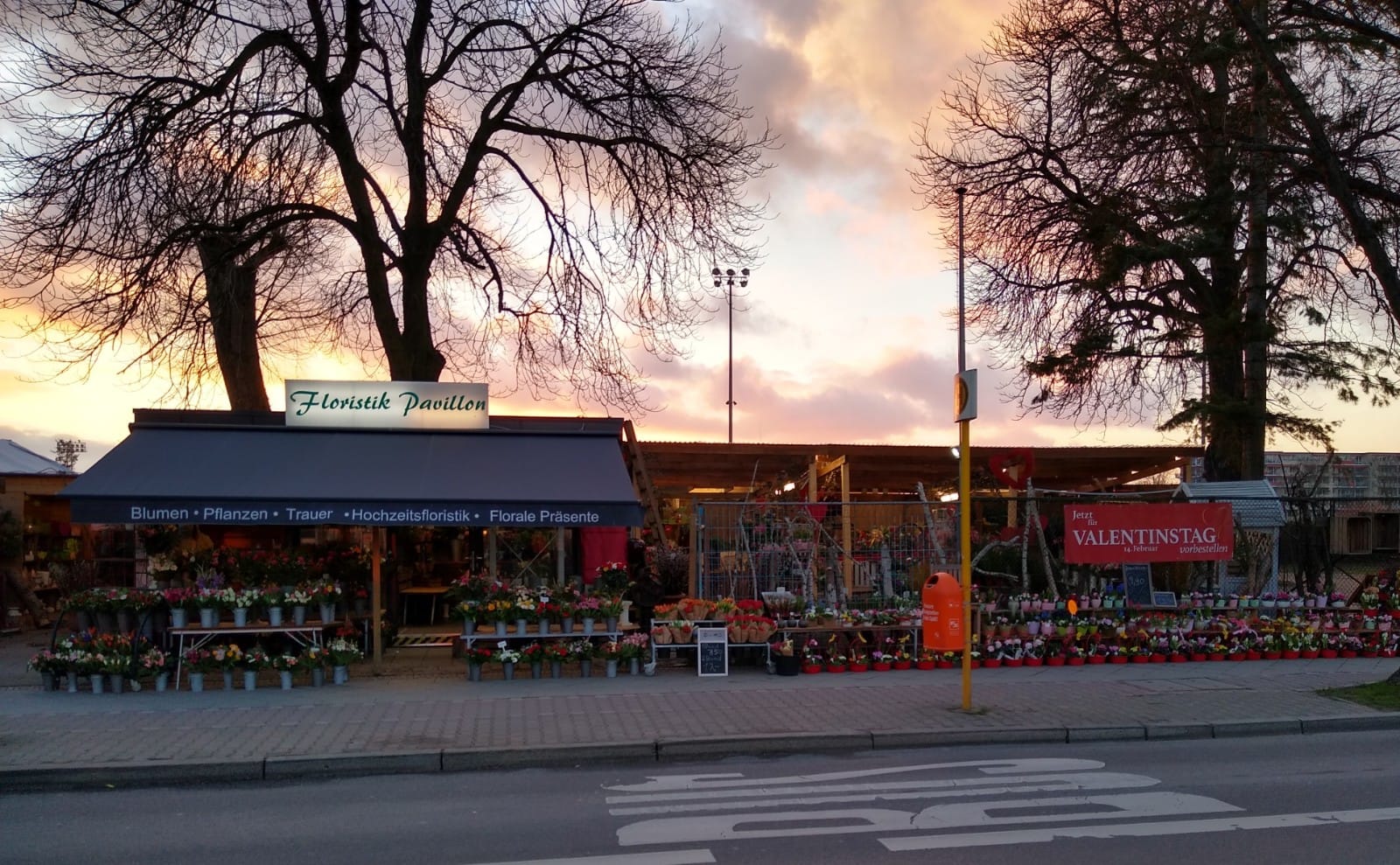 Blumen an der Trabrennbahn - 01