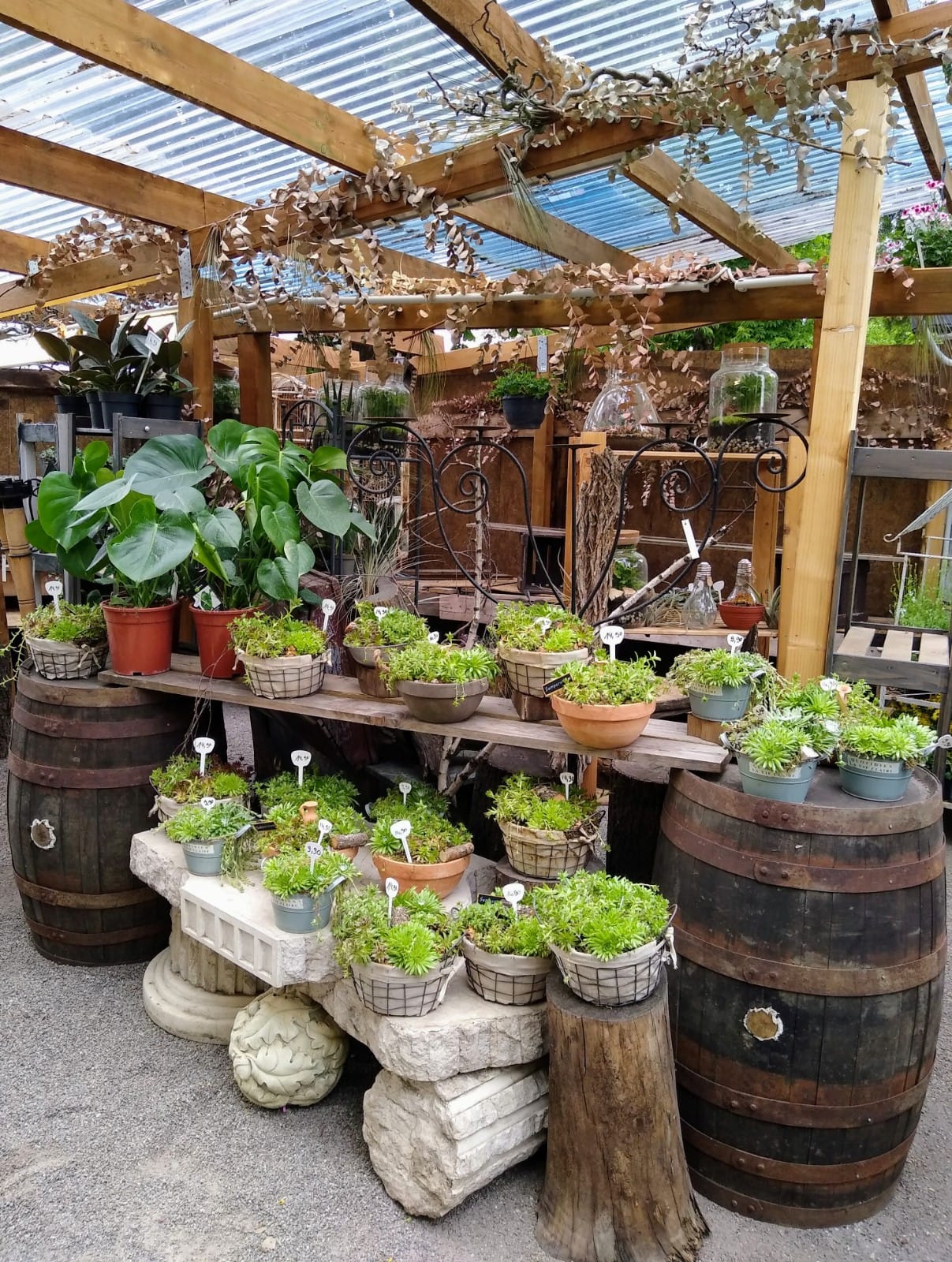 Blumen an der Trabrennbahn Galerie