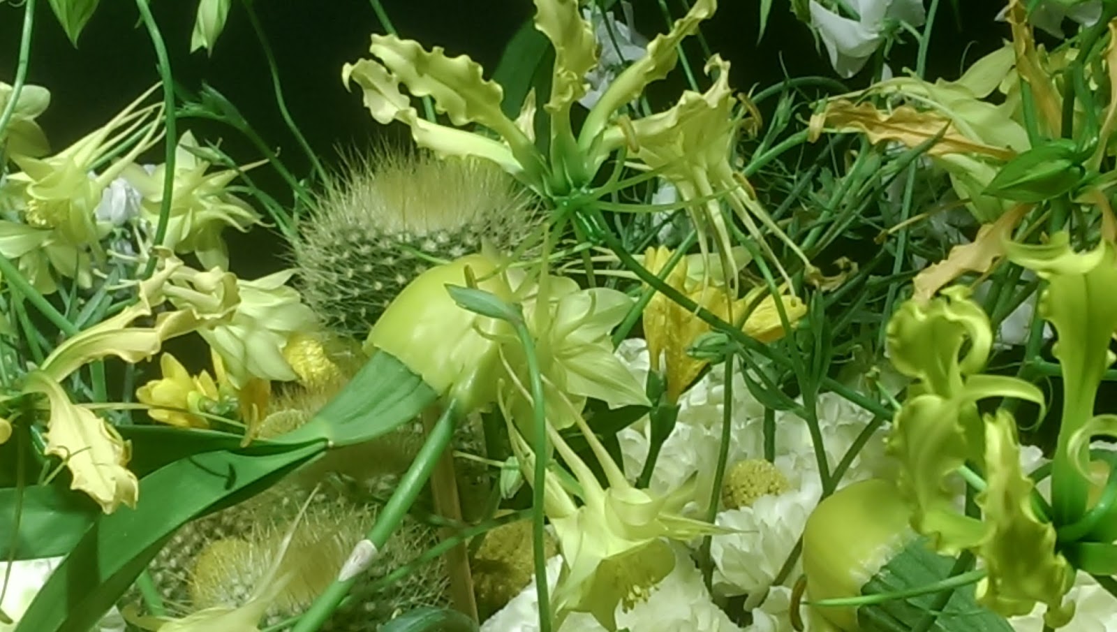 Blumen Design am Adenauerplatz - 01