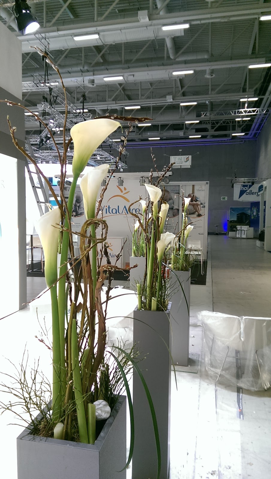 Blumen Design am Adenauerplatz Galerie