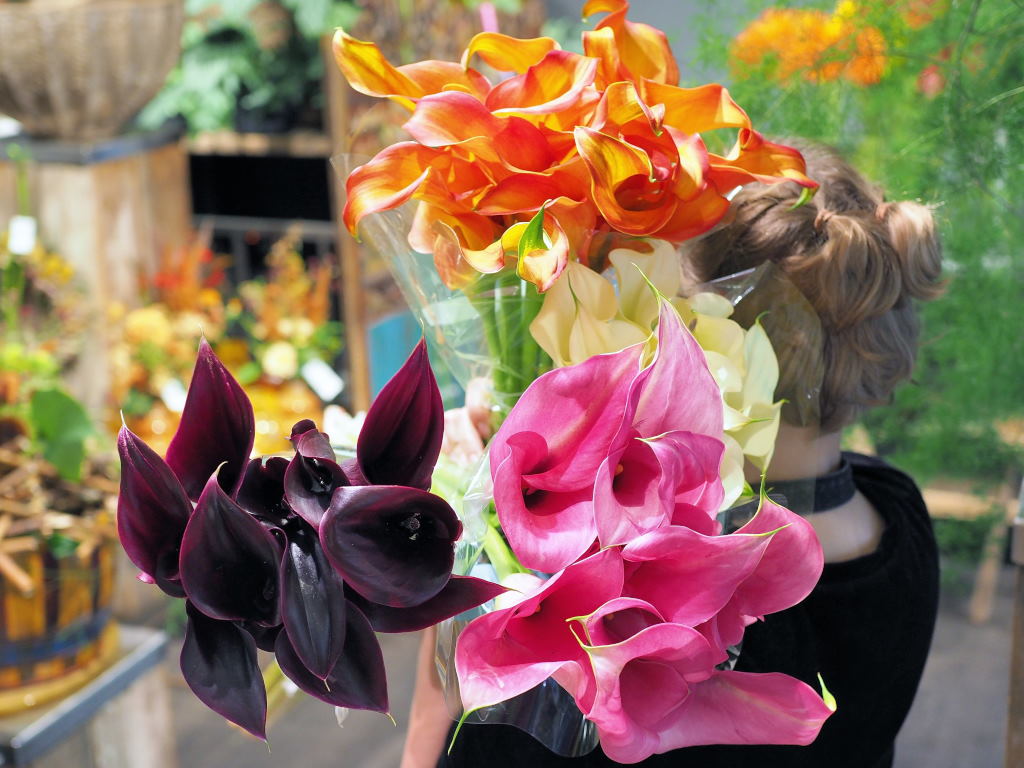 Blumen-Koch Berlin - 01