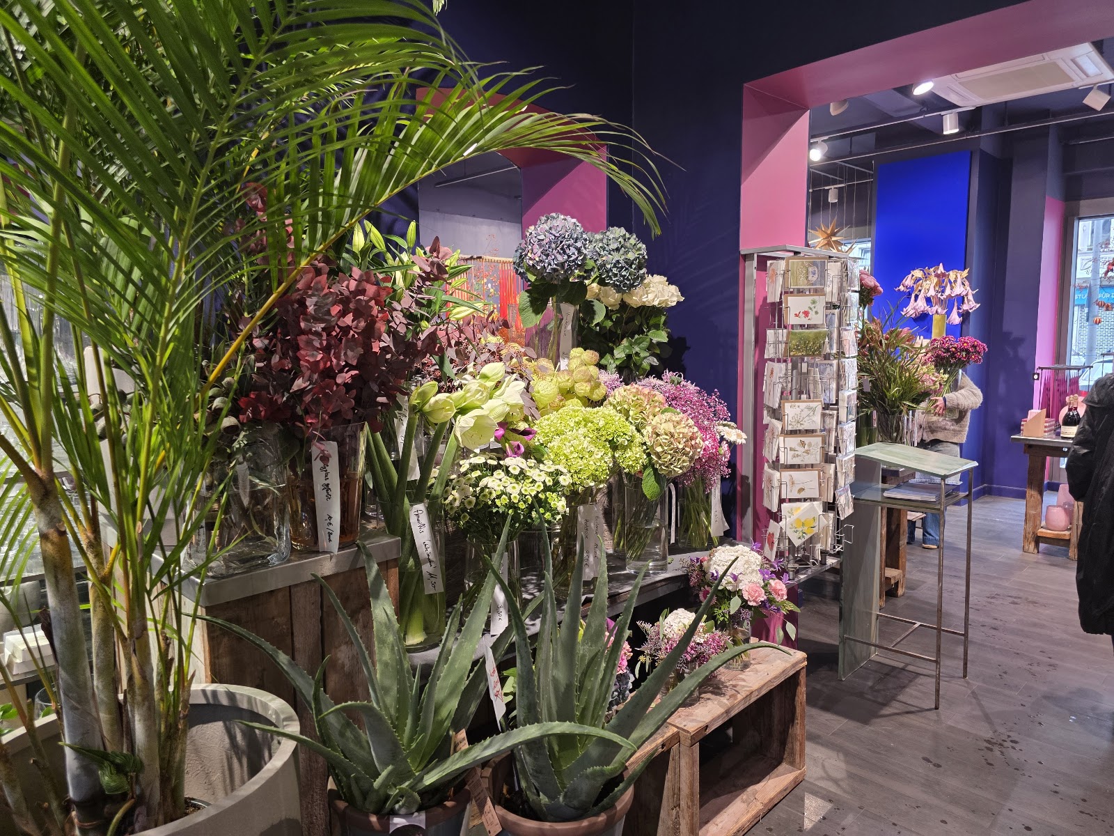 Blumen-Koch Berlin Galerie