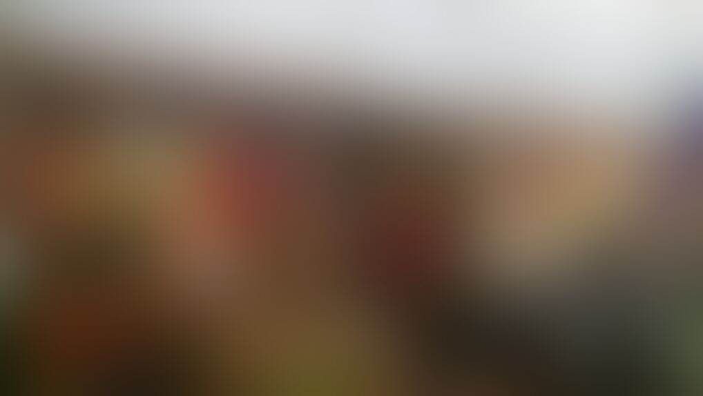 Blumen P´ti fleur - 01