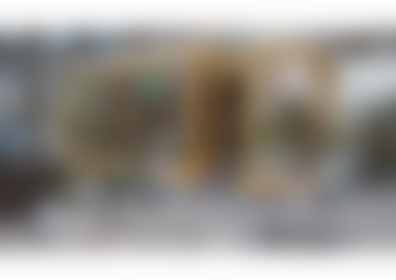 Blumenhandel Zahn - 01