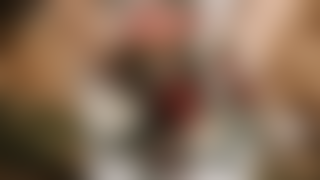 BlumenTeamBäuerle - 01