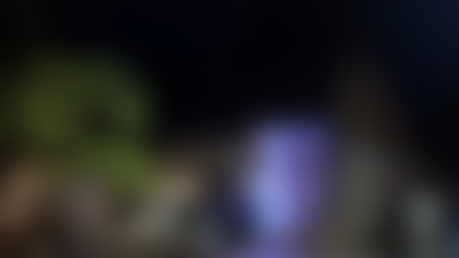 Bötjersche Scheune - 01