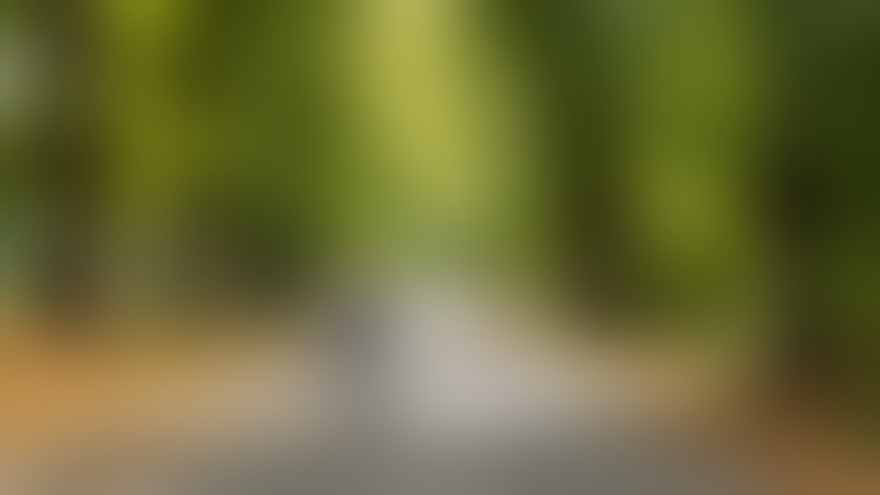 Boris Wittgrefe - 01