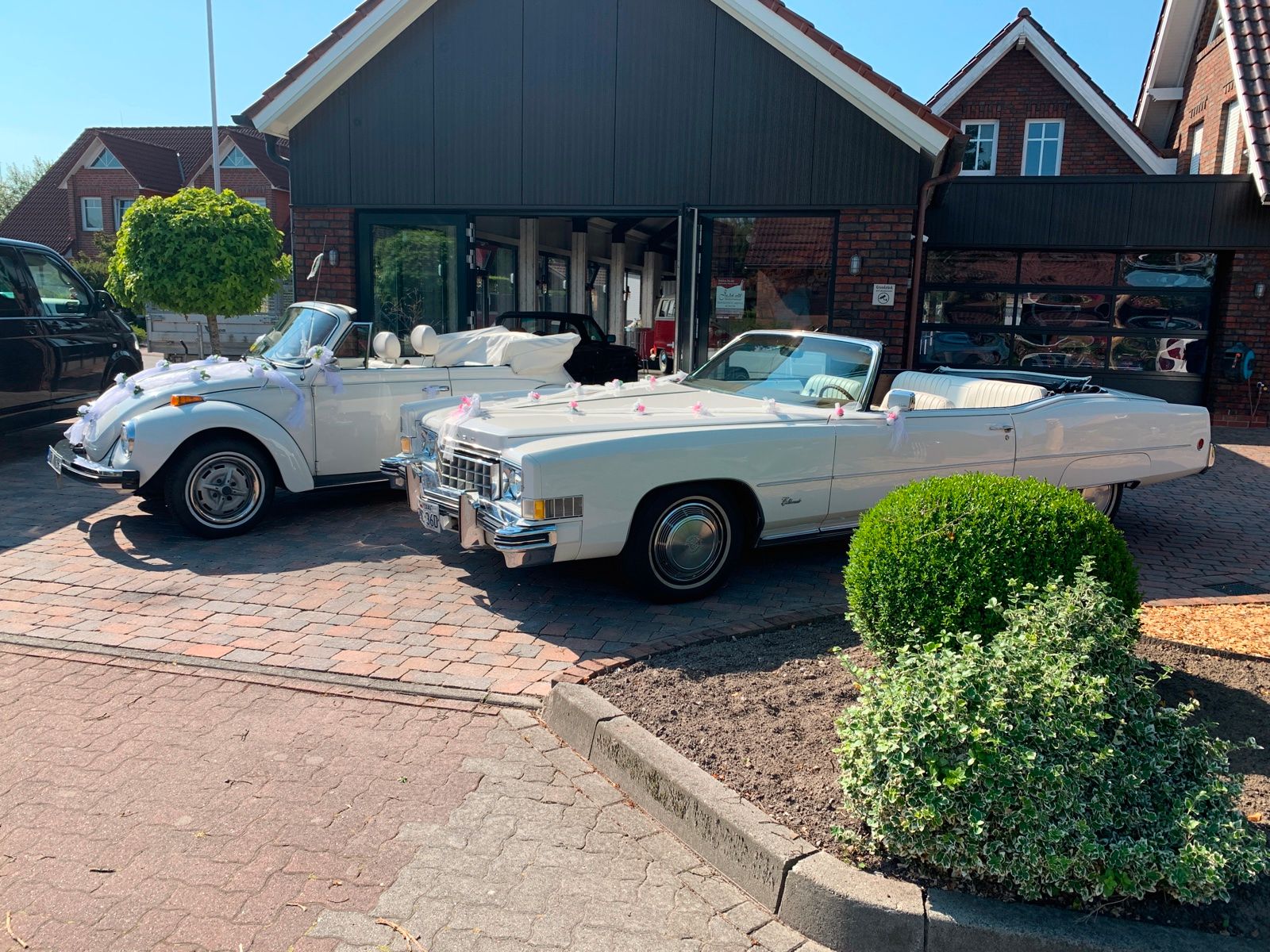 Cars for Dreams Galerie