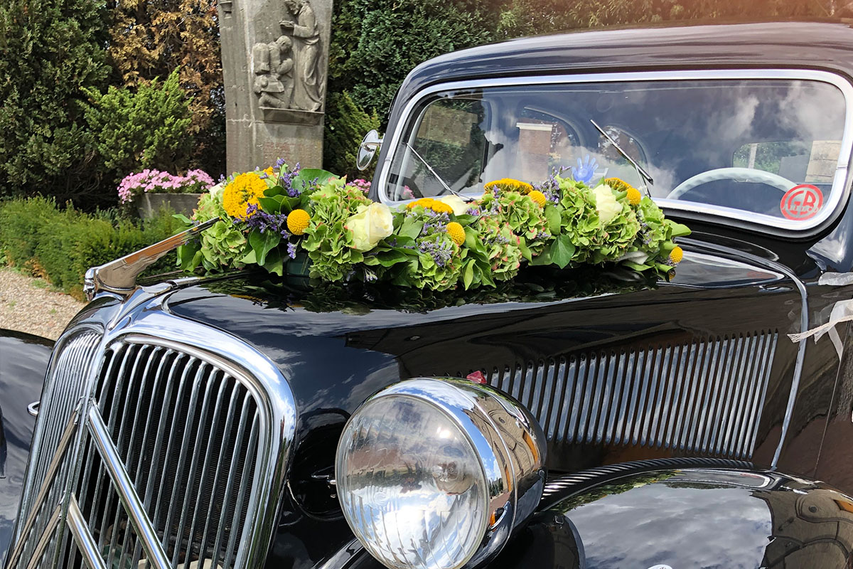 Classic Träume Galerie