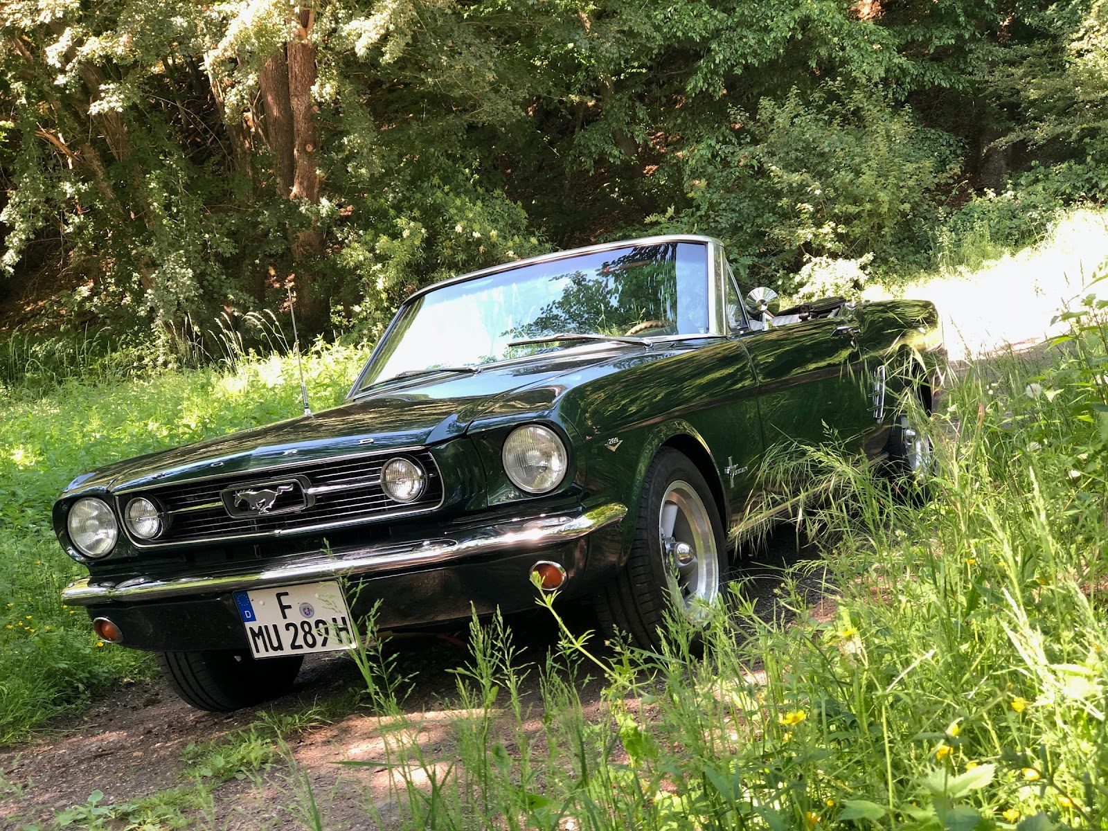 Classicdepot Augsburg Galerie