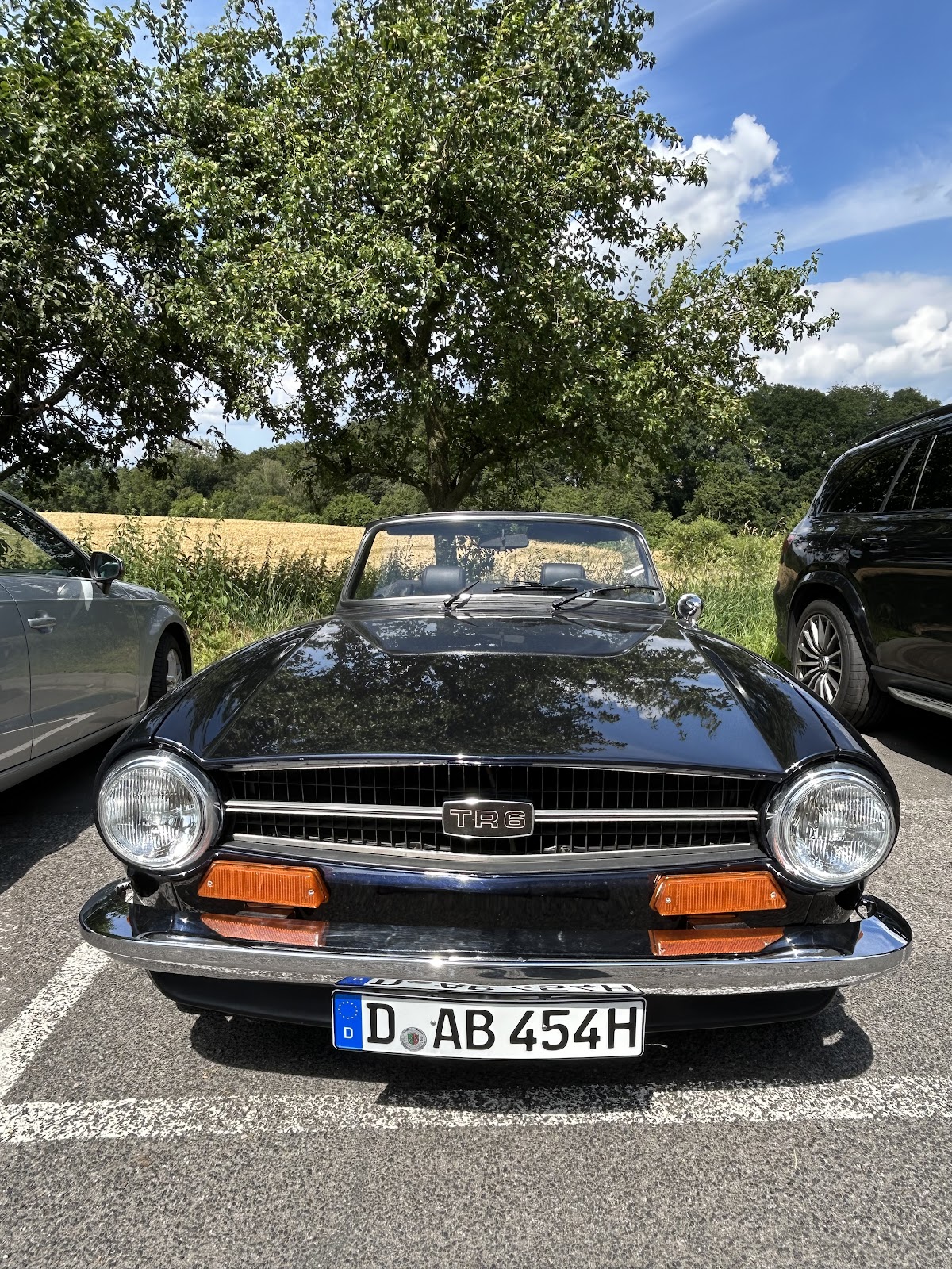 Classics for Fun Galerie