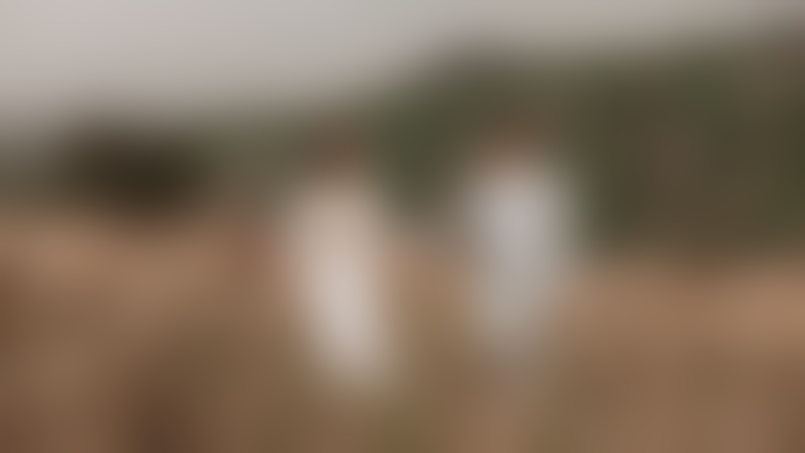 Cucin Photography - 01