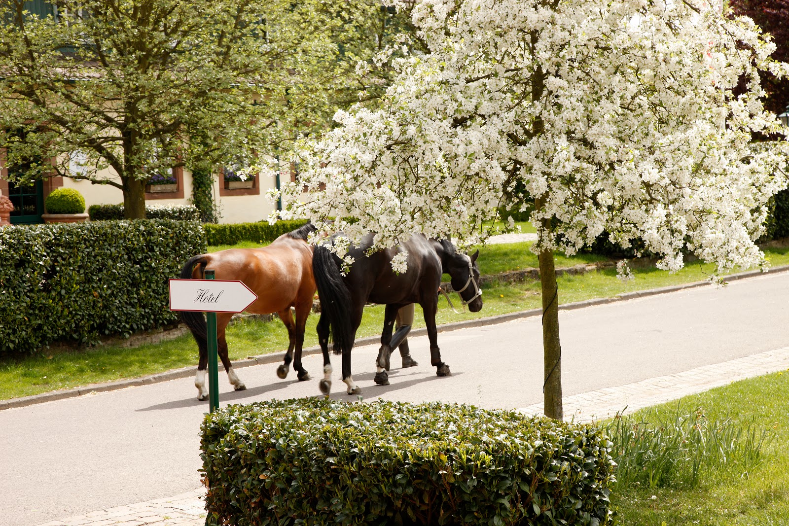 Der Linslerhof – Hotel, Events & Natur Galerie