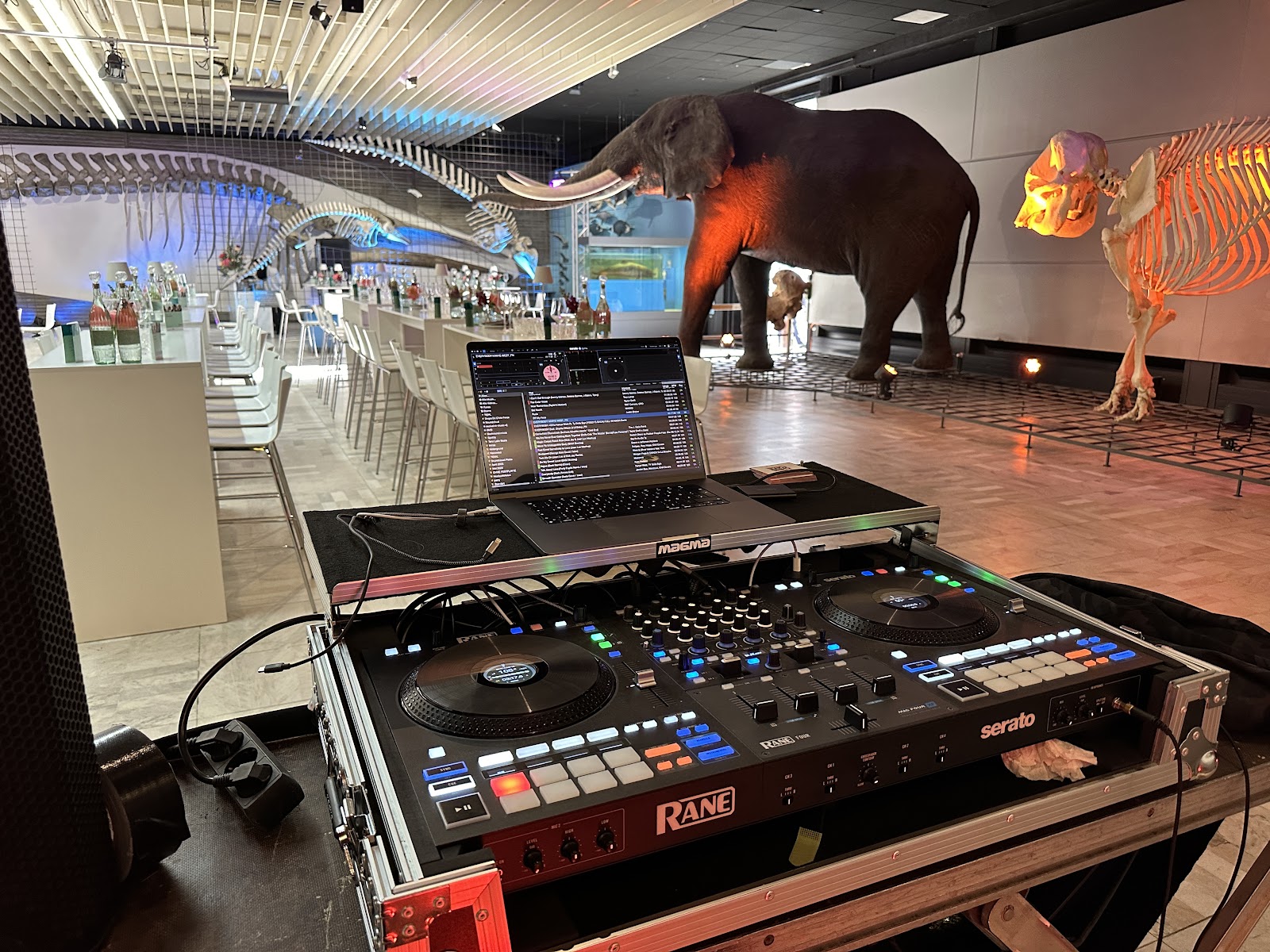 DJ Chris Force Galerie