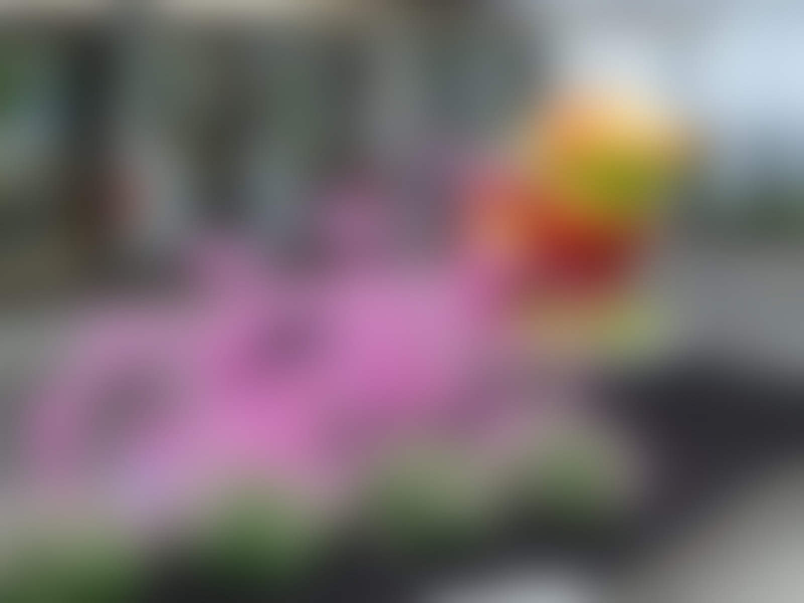 Dodel Floristik - 01