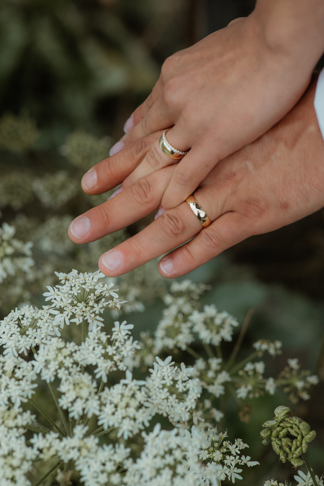 Felicia Hochzeiten Galerie