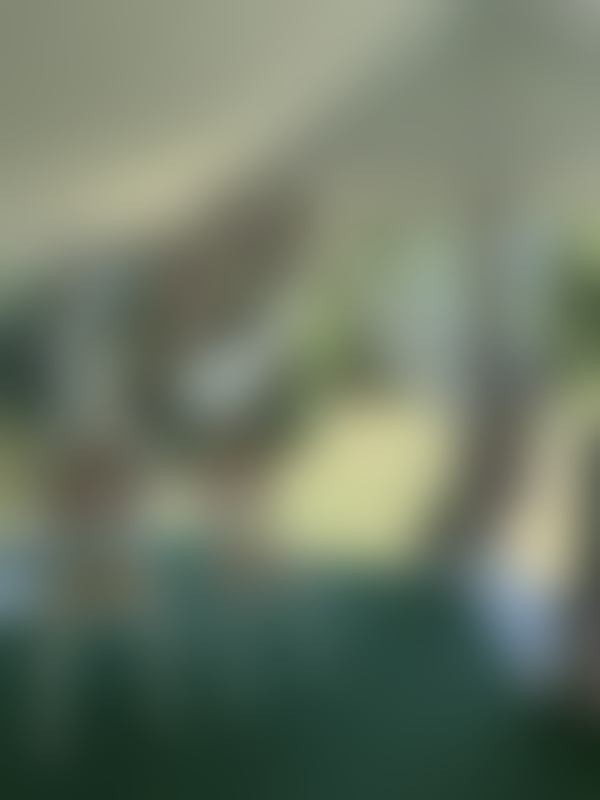 Floral Aesthetics - 01