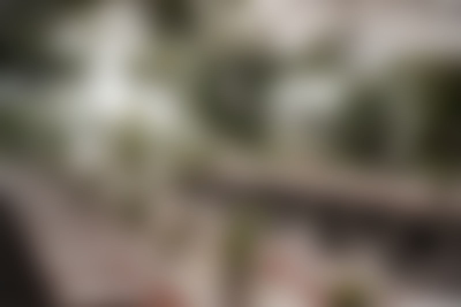 Gärtnerei Elsäßer - 01