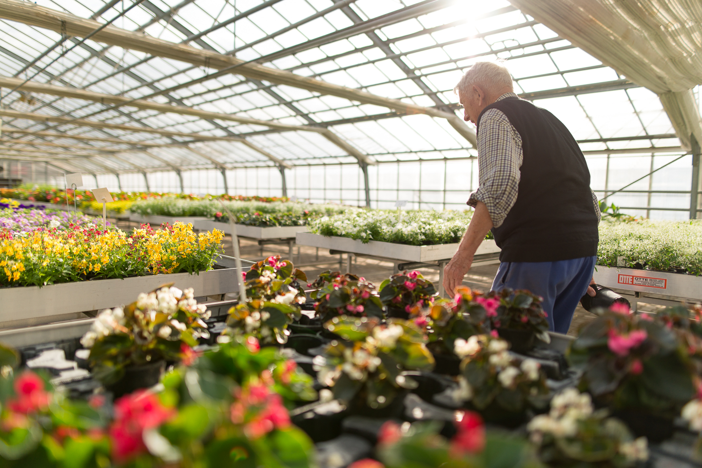 Gärtnerei Guyot Galerie