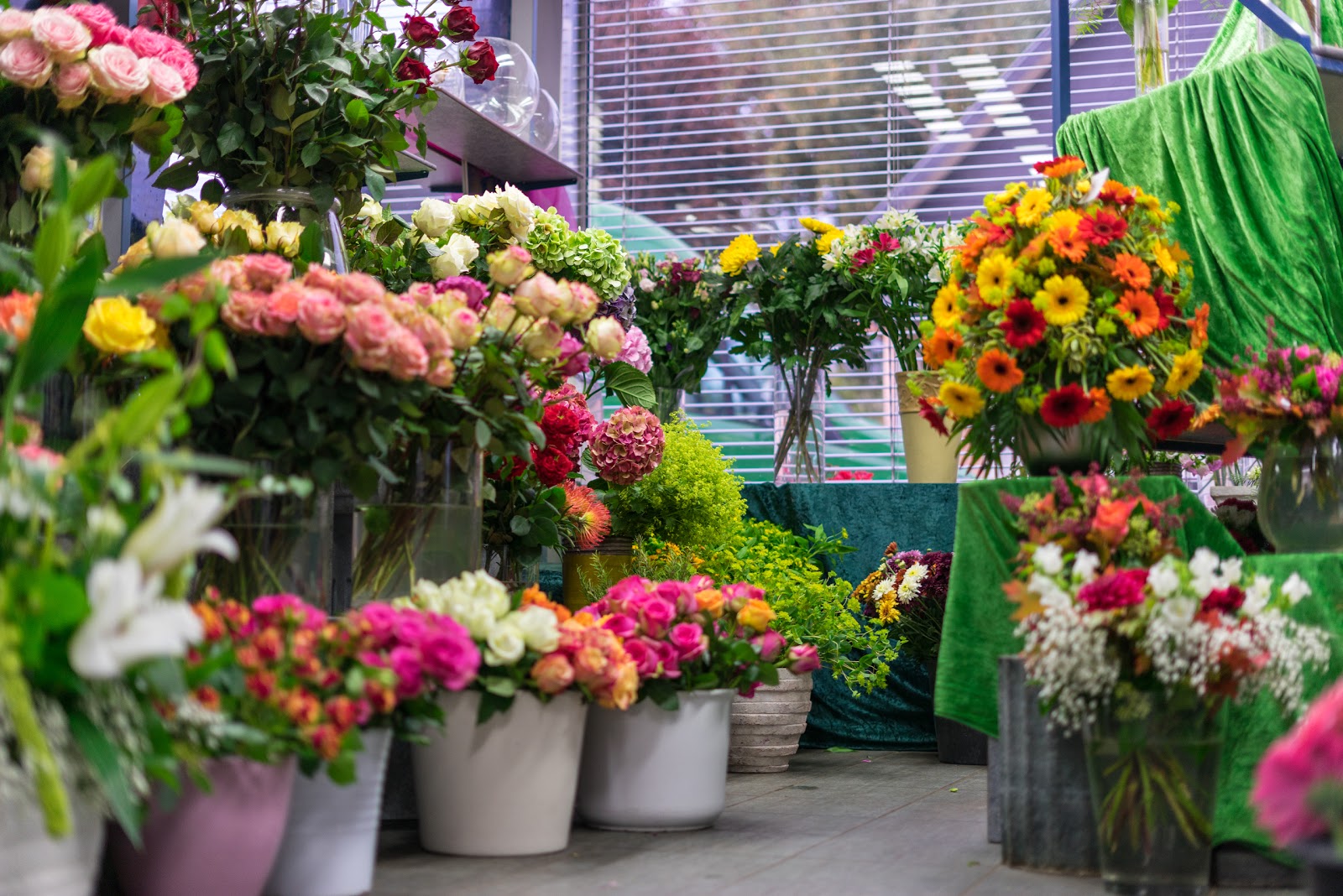 Gärtnerei Guyot Galerie