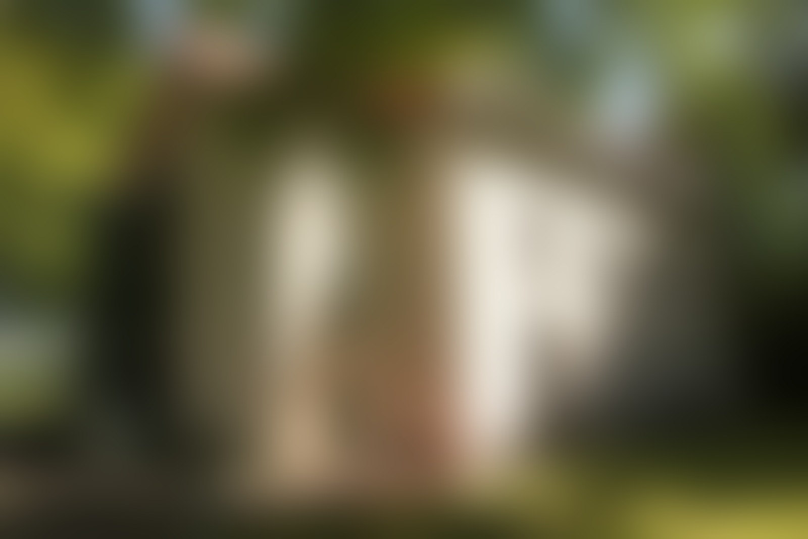 Gästehaus Alte Schule - 01