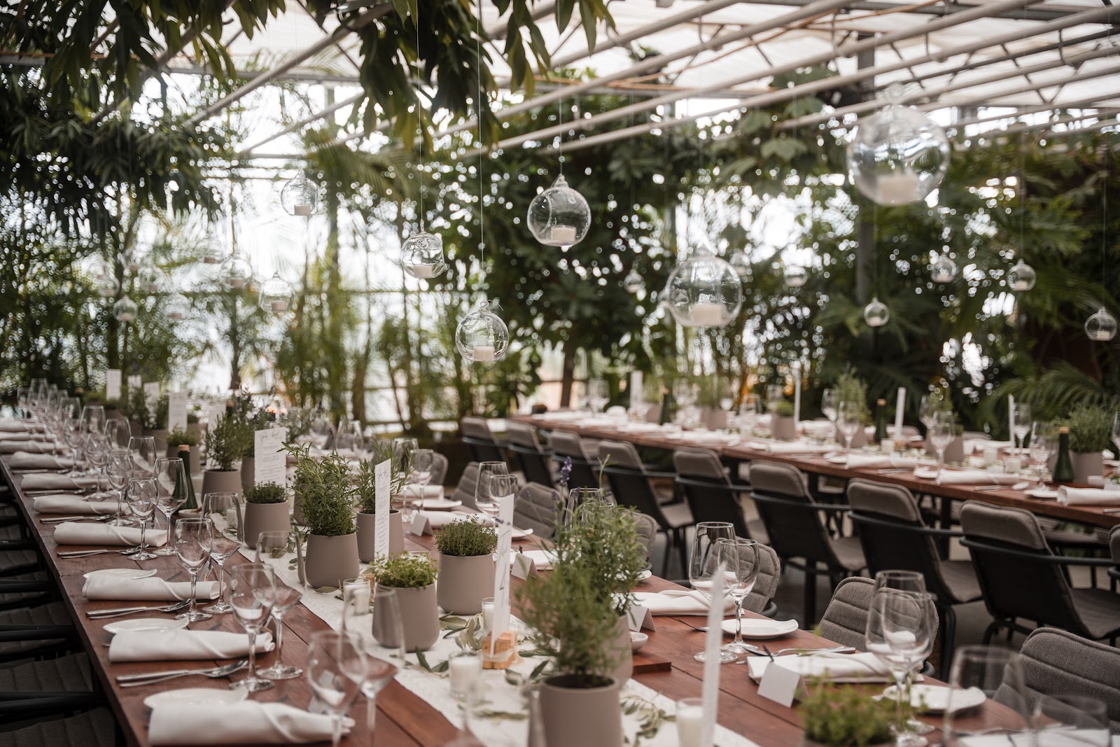 Gärtnerei Elsäßer - 01