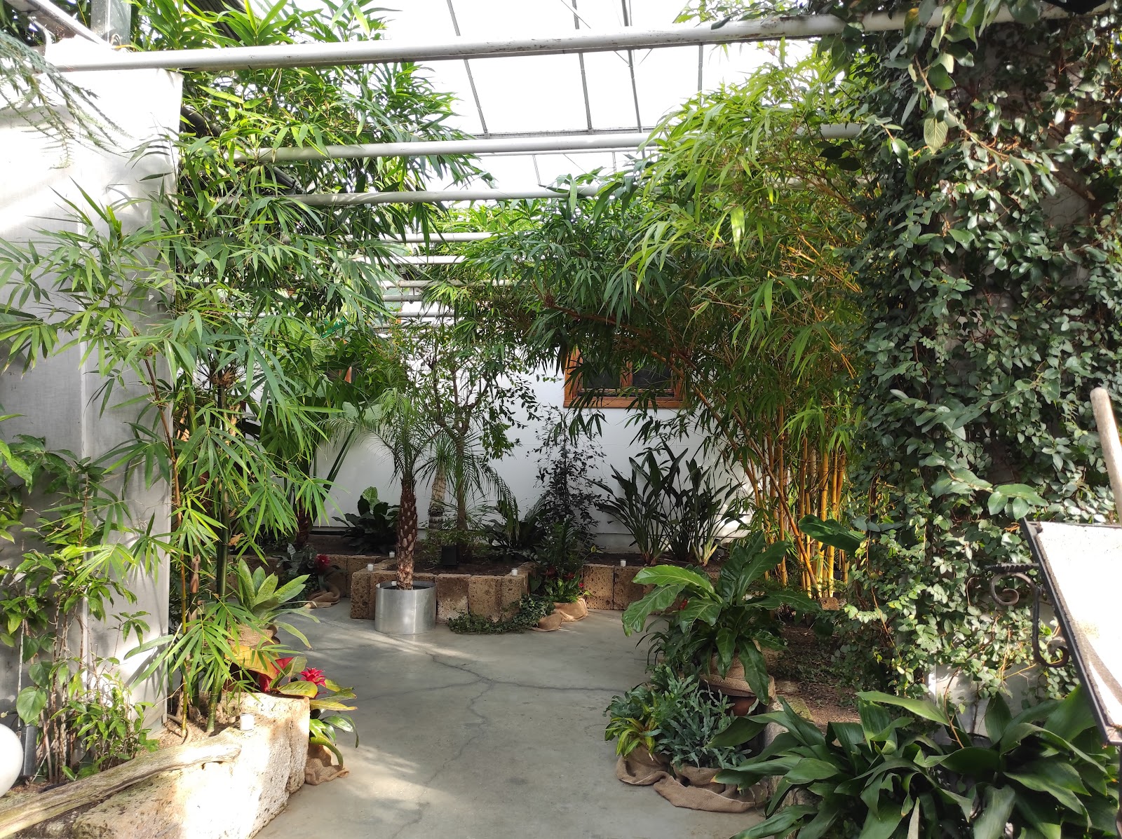 Gärtnerei Elsäßer Galerie