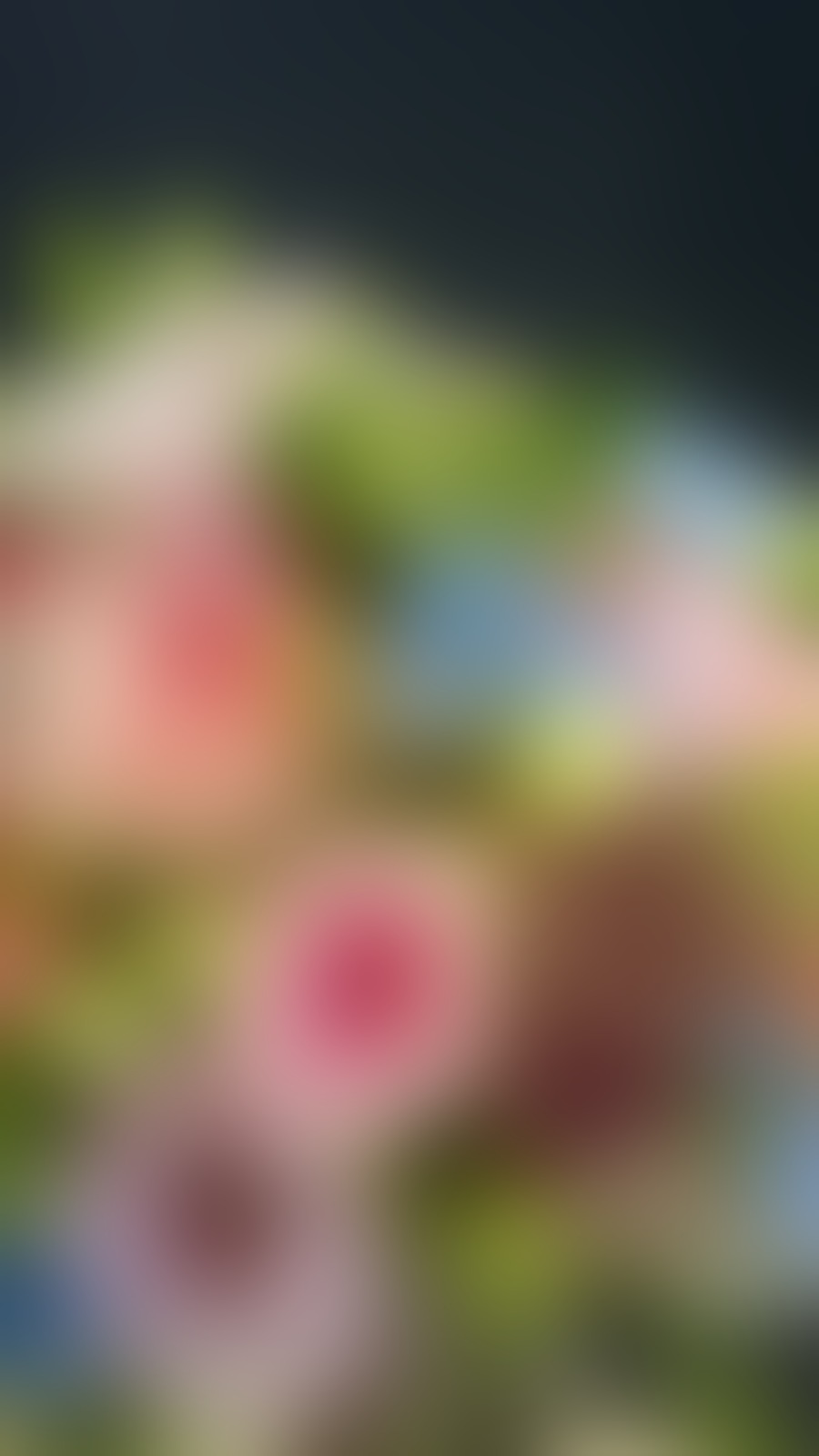 Graf Gärtnerei Floristik - 01