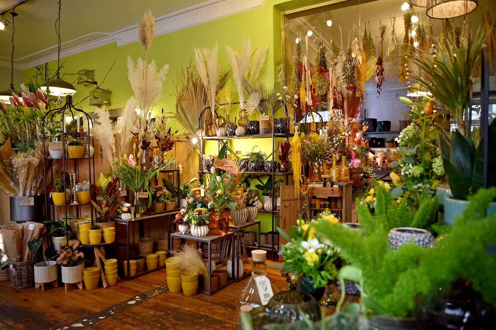 Grünschnabel Floristik Galerie