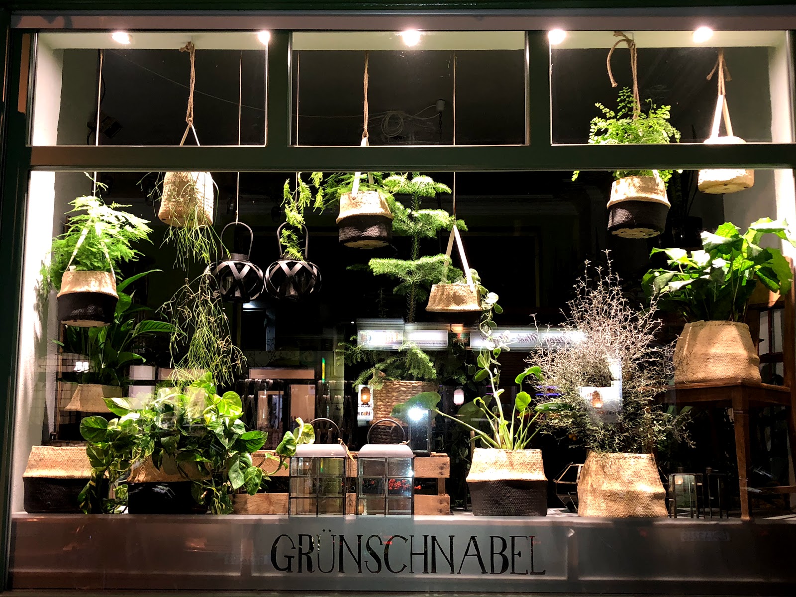 Grünschnabel Floristik Galerie