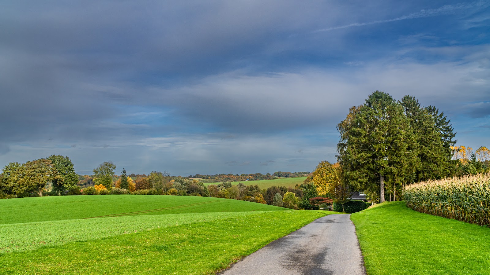 Gut Cones - Die Veranstaltungsscheune Galerie