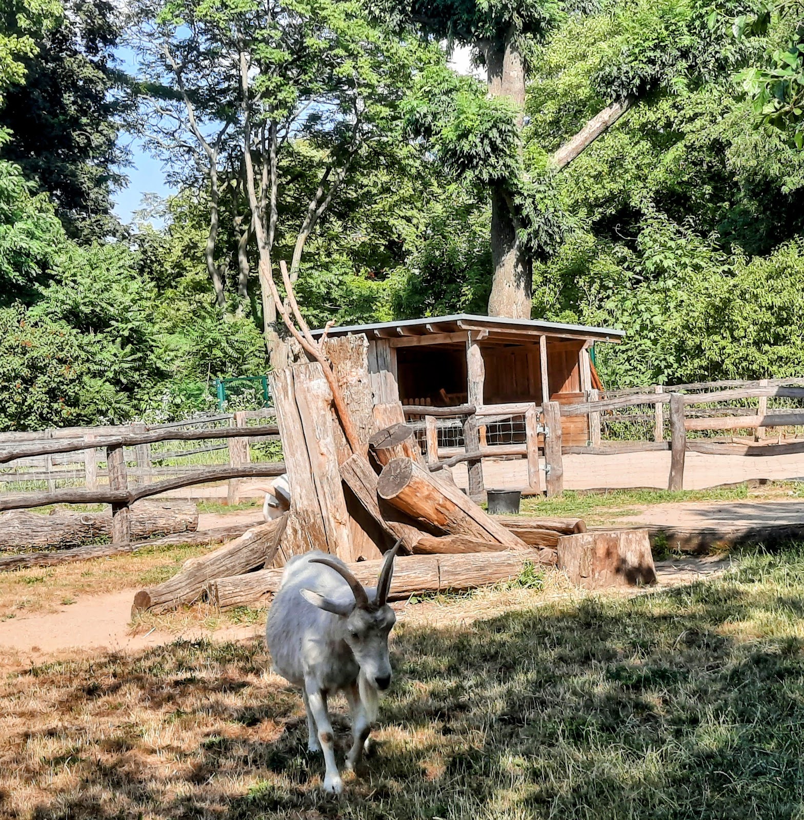 Gutshof - Schloss Britz Galerie