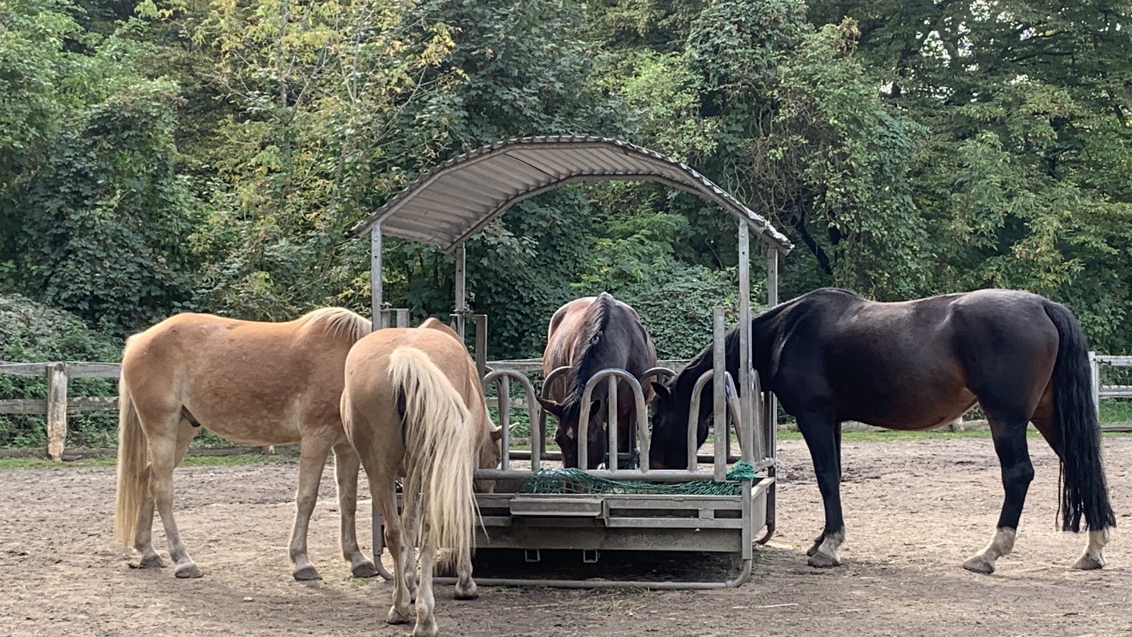 Gutshof - Schloss Britz Galerie