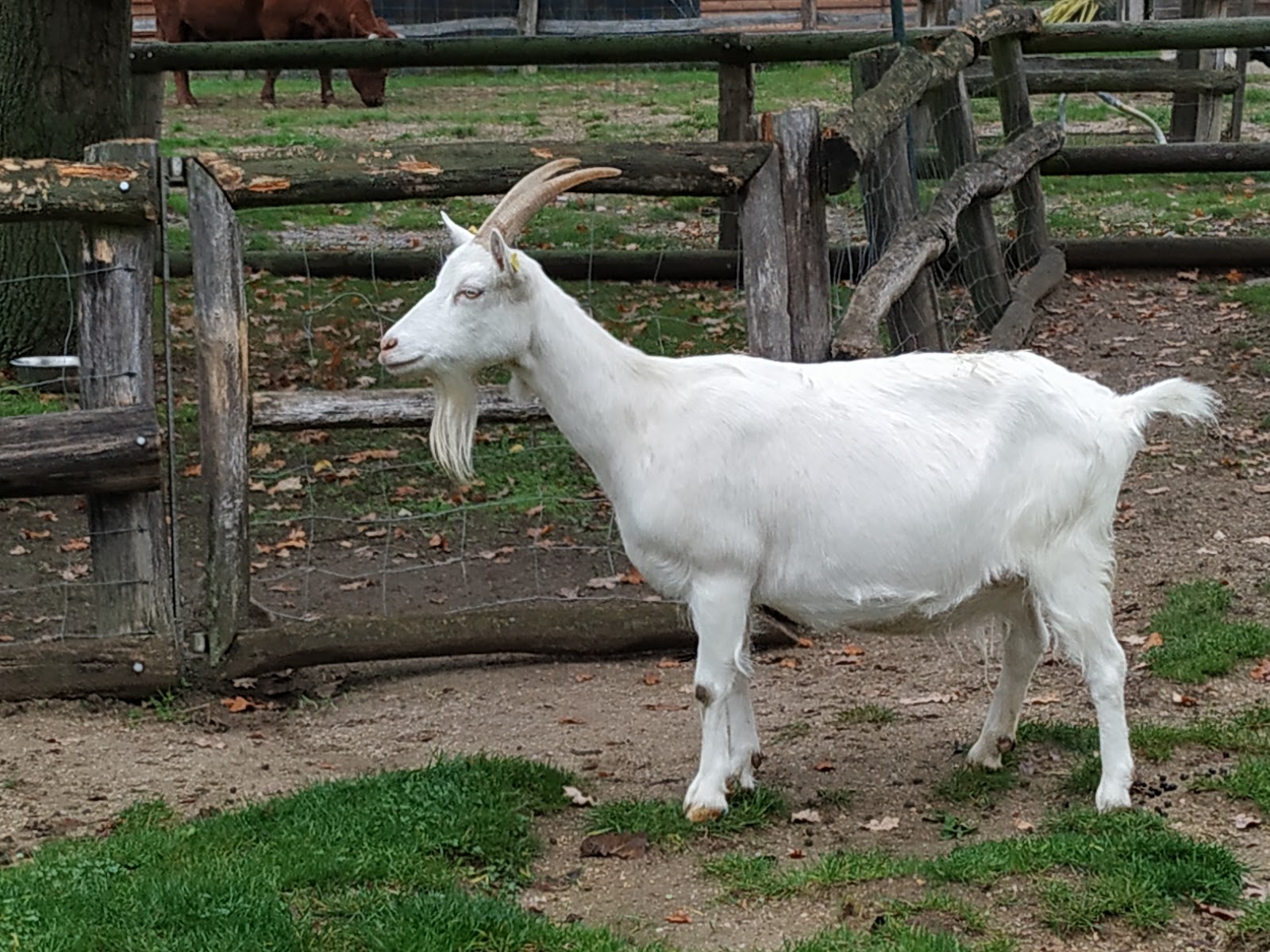 Gutshof - Schloss Britz Galerie