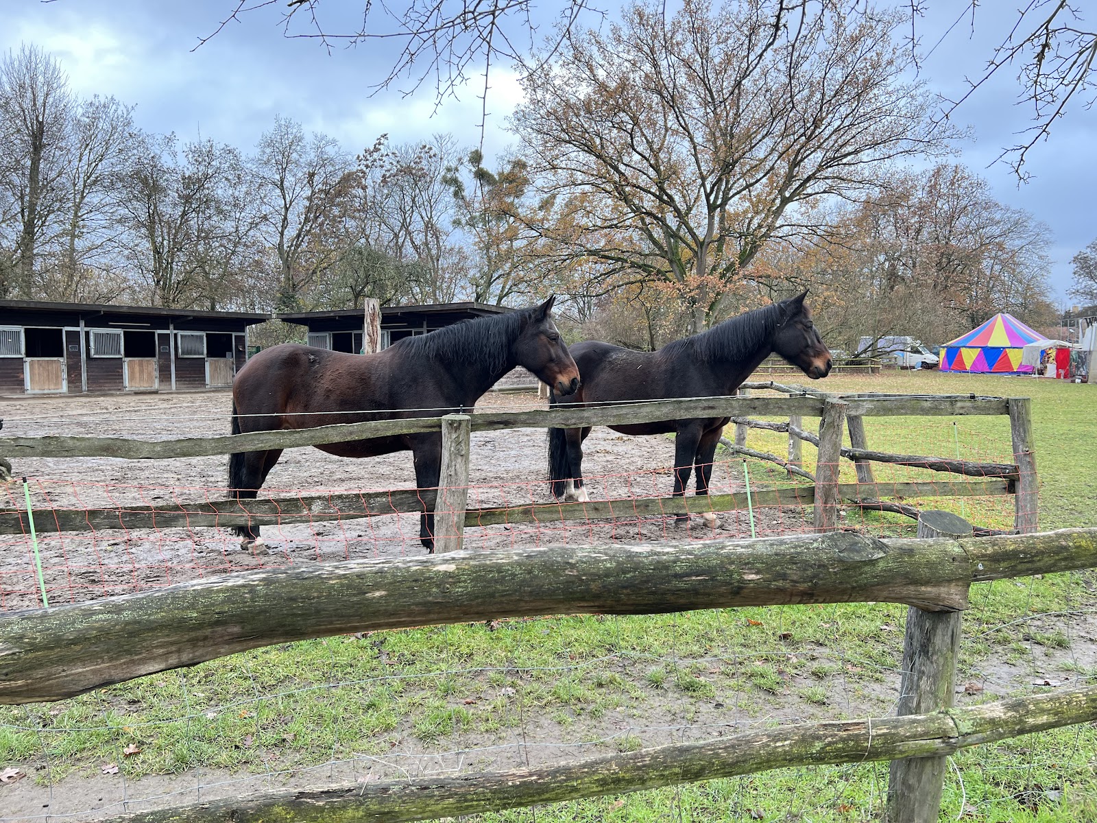 Gutshof - Schloss Britz Galerie