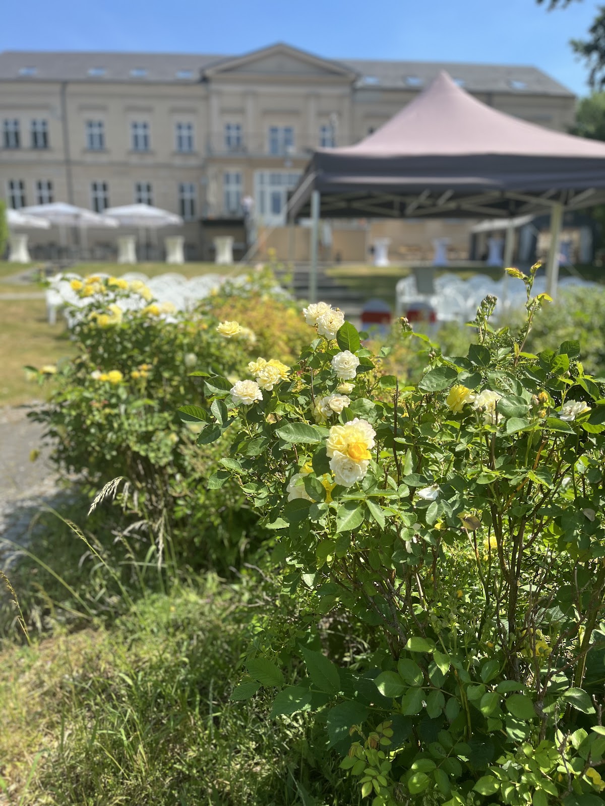 Herzvertraut Galerie