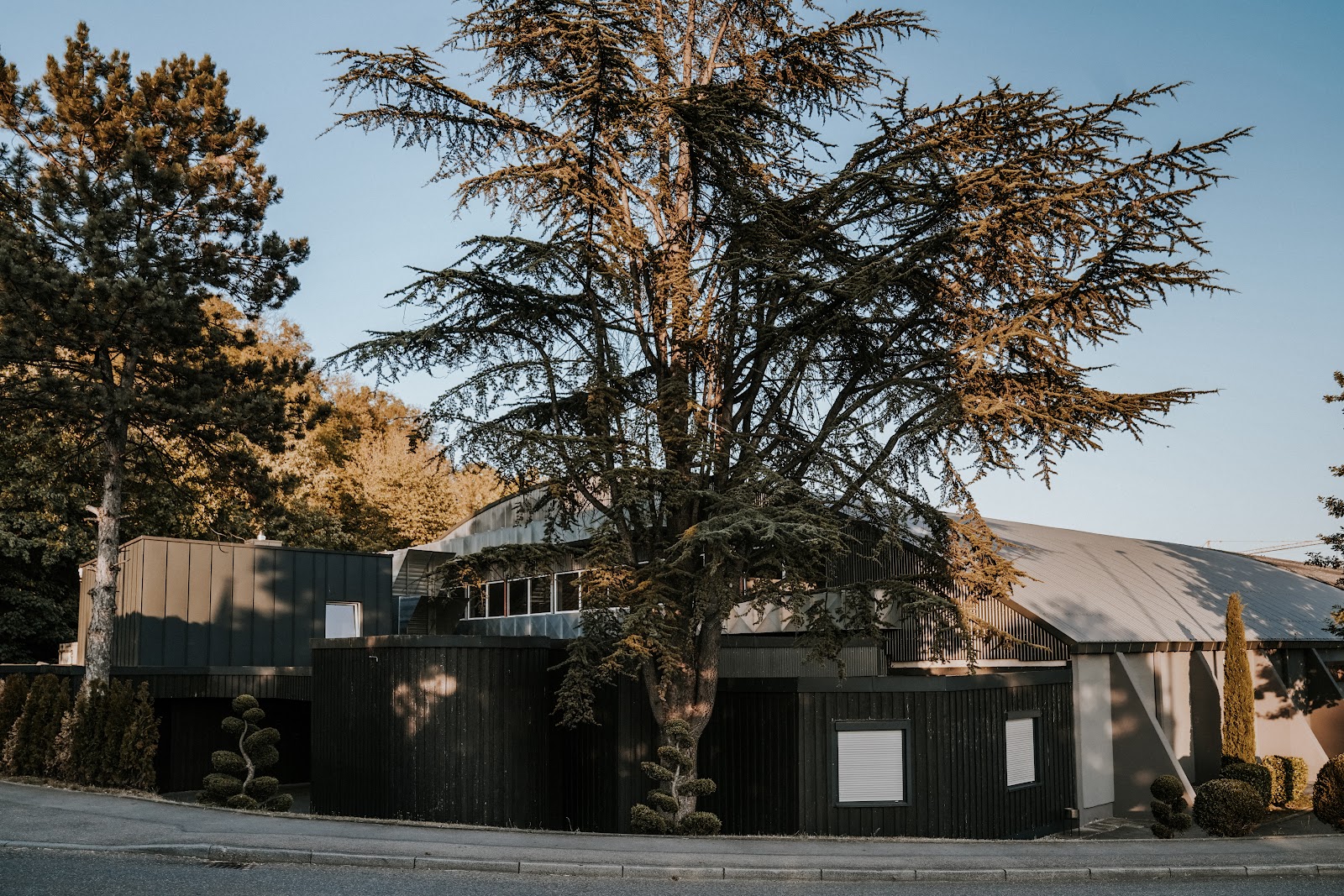 HOCHBERG LOCATION Galerie