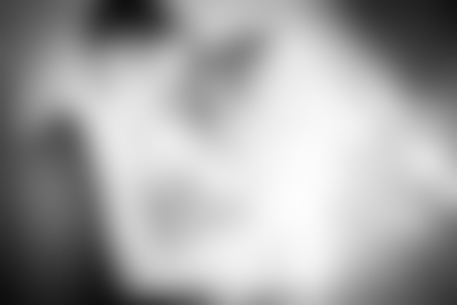 HOCHZEIT im FOKUS - 01