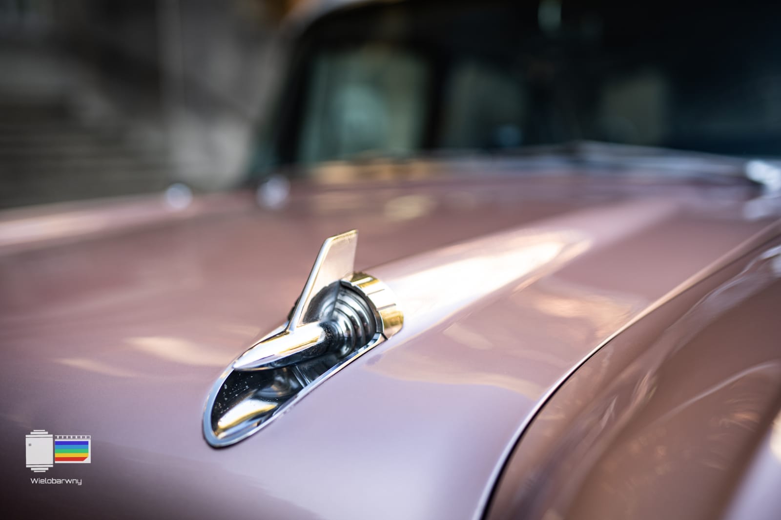 Hochzeitsauto Galerie