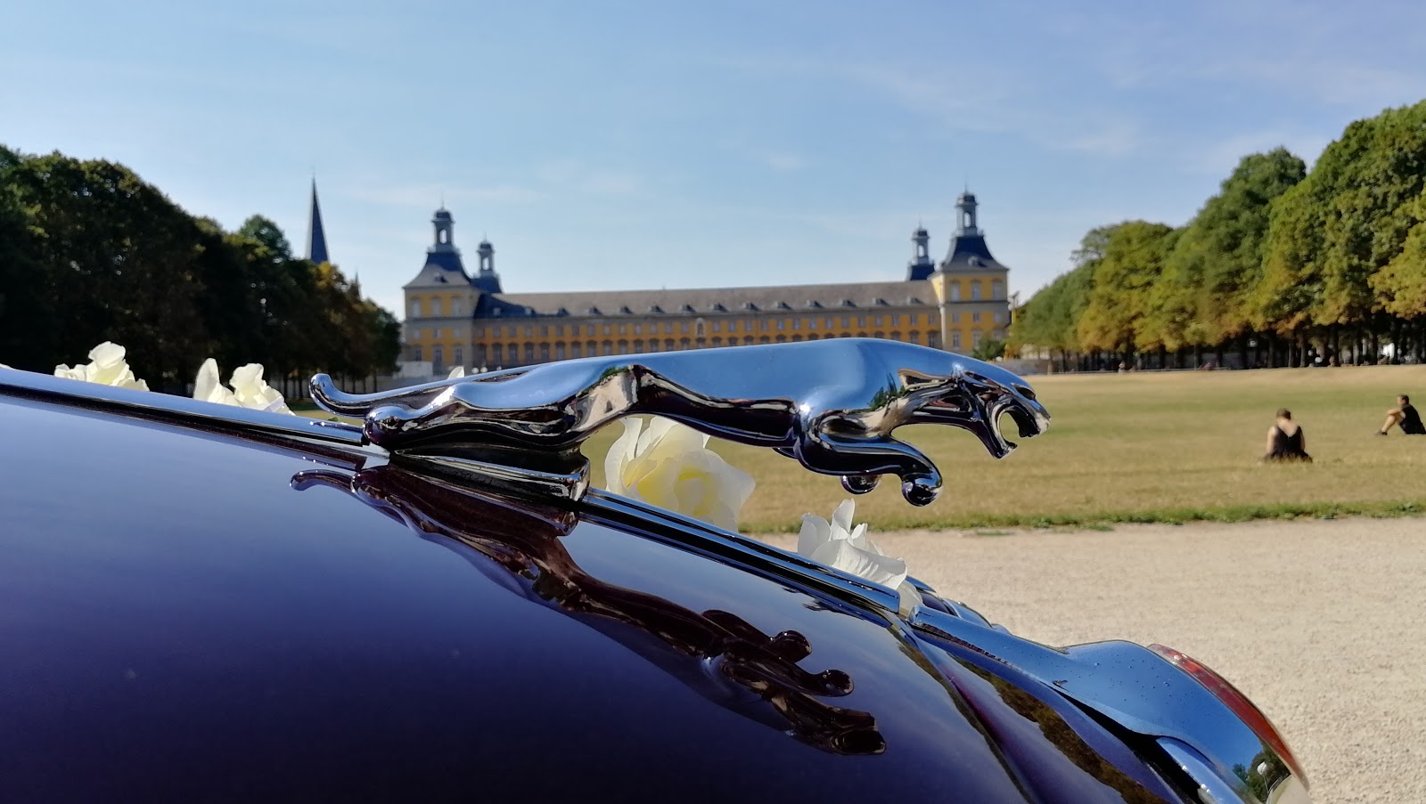 Hochzeitsfahrten Bonn Galerie