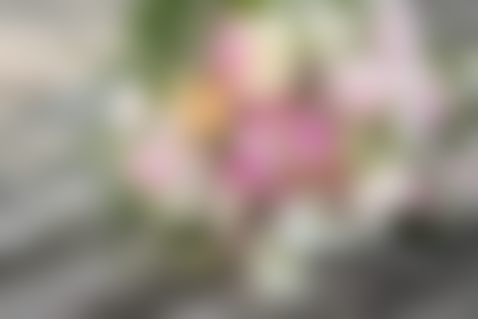 Hochzeitsfotograf Oliver - 01