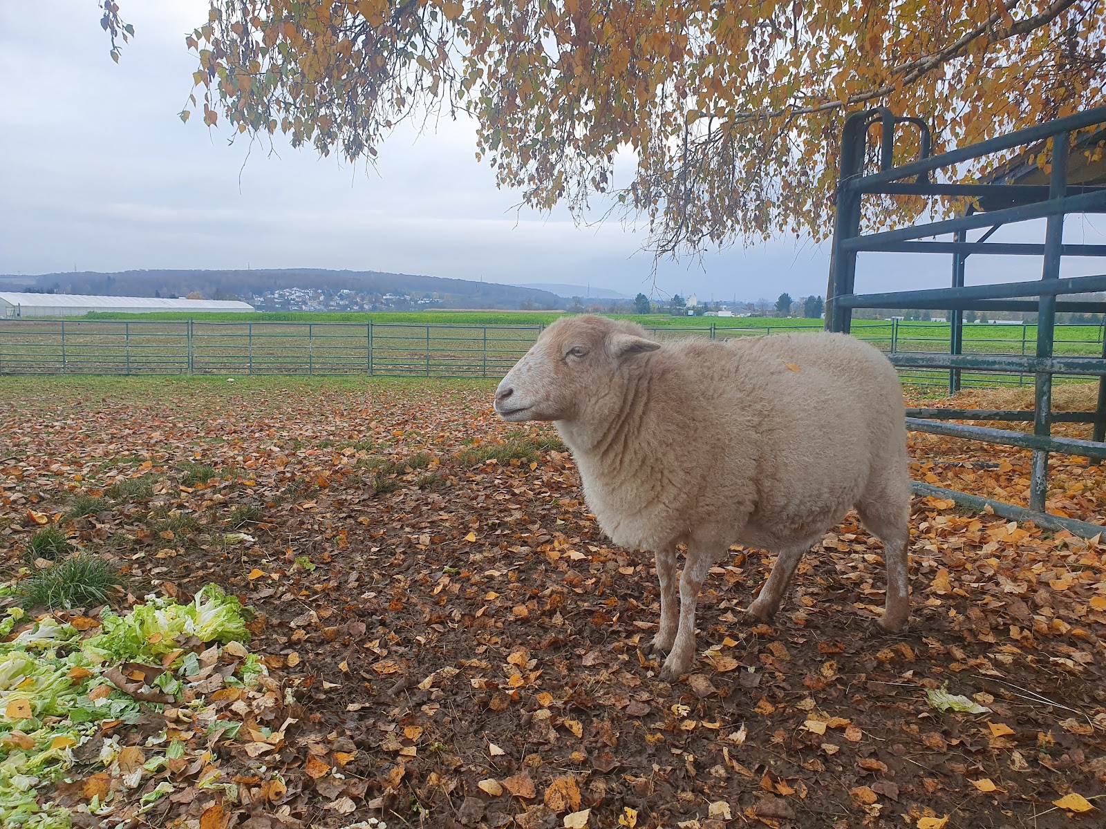 Hof Leutenecker Galerie
