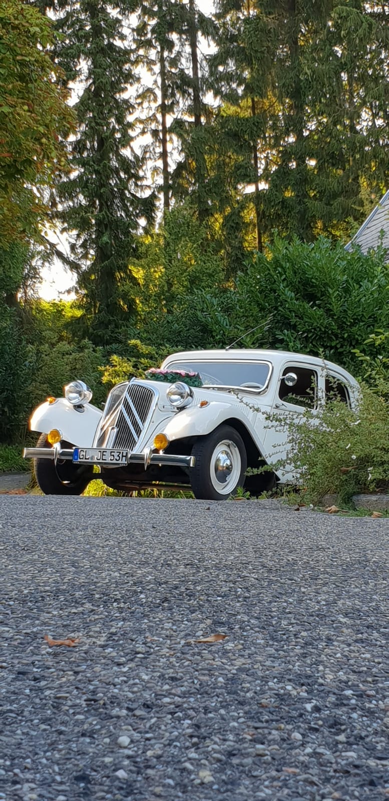 Hollywood Limousinen-Service Galerie