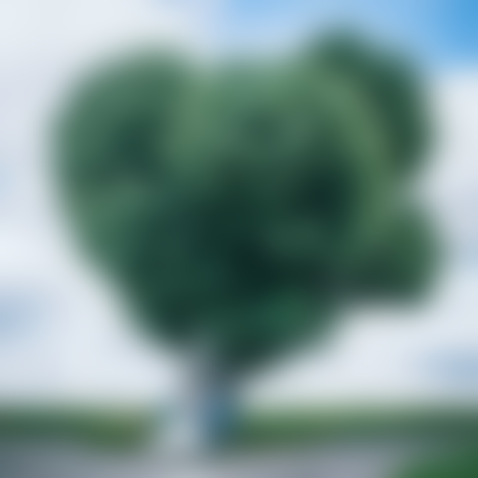 IdealMoments.de - 01