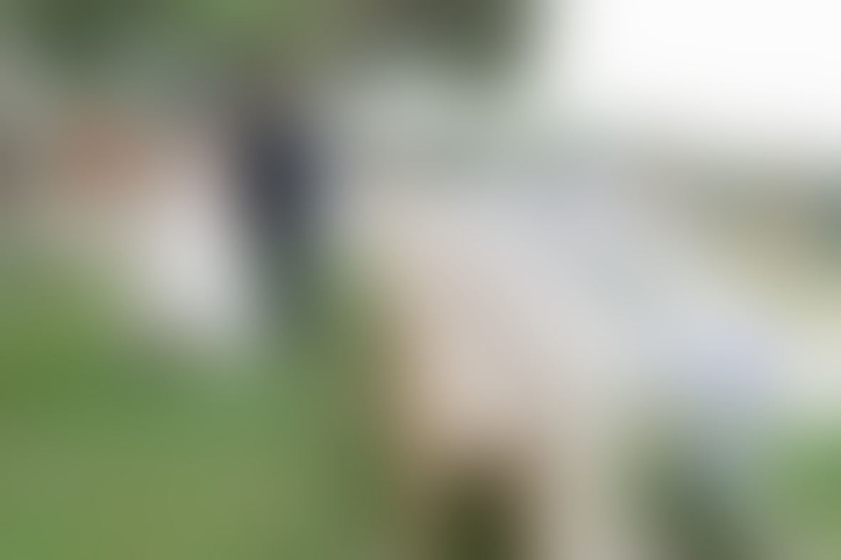 Ihr Hochzeitsplaner - 01